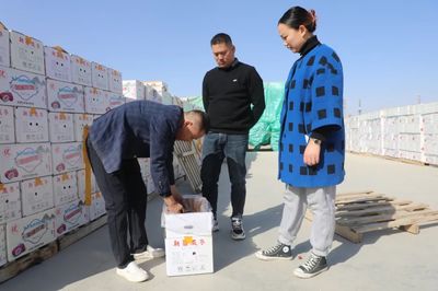 林果&ldquo;網上&rdquo;賣 蹚出新天地