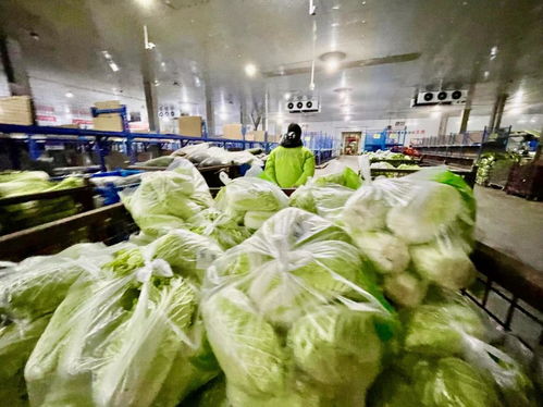 美菜商城不打烊,保障就地過年消費(fèi)者 年夜飯