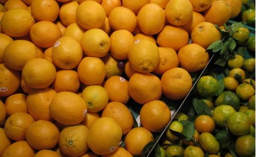 初級農產品是不是也可以是預包裝食品