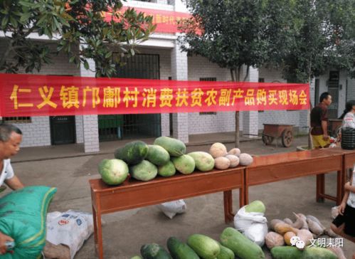 扶貧印記 仁義鎮(zhèn) 消費(fèi)扶貧助力脫貧攻堅(jiān)