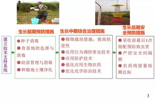 初級(jí)農(nóng)產(chǎn)品原料食品安全風(fēng)險(xiǎn) 農(nóng)藥管理