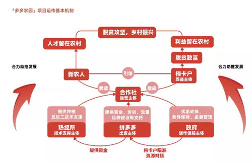 拼多多發布農產品上行發展報告, 電商助農,大有可為