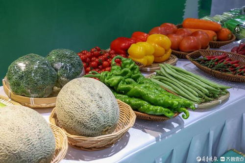 莘縣農產品實現全程安全追溯管理,保障群眾 舌尖上的安全