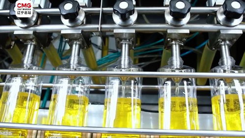 錦州小花生成就致富大產(chǎn)業(yè) 禽蛋經(jīng)濟的繁榮之路