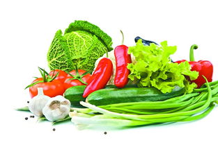 政府支持為堅強后盾，有效避免禽蛋等農產品價格大起大落